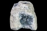 Sky Blue Celestine (Celestite) Geode ( Lbs) - Madagascar #156516-2